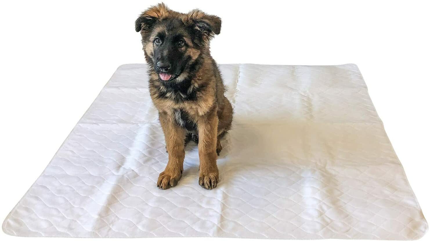 Midlee 47″ x 47″ Dog Pee Pad- Pack of 2- Washable & Reusable Large Puppy Potty