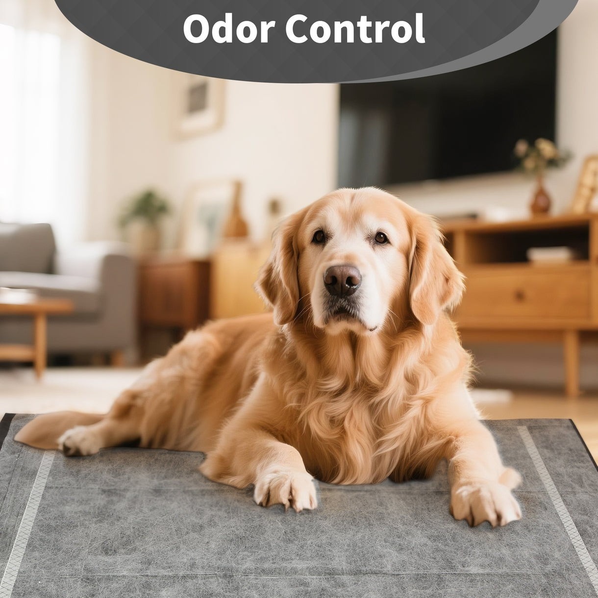 30-Pack XL 28″ x 34″ Charcoal Puppy Training Pads | Advanced Odor Control