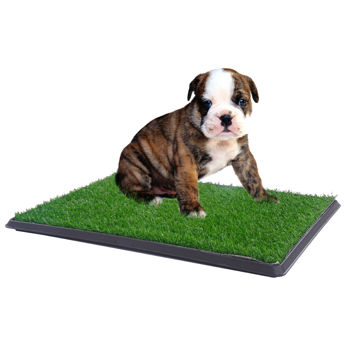 2 Size Pet Potty Trainer Grass Mat Dog Puppy Training Pee Patch Pad Toilet