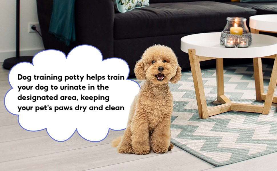 Potty Patty Potty Potty Poty Poty Dog Training Dog Toilet for Small Dogs