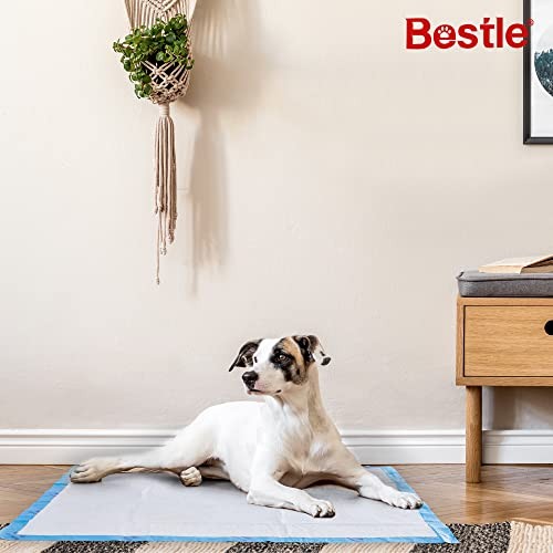 BESTLE Extra Large Dog Training Pads 28″x34″ 40 Count Super Absorbent Leak-Proof