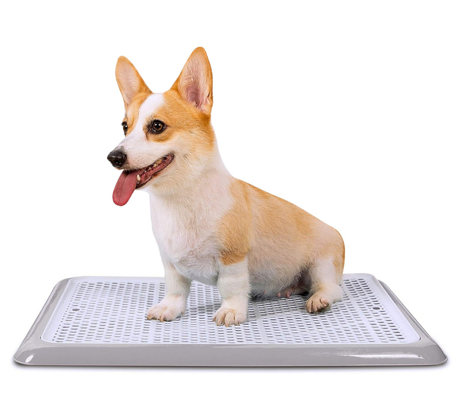 Indoor Dog Potty Tray Puppy Pee Pad Holder 25”x20” Small and Medium Dogs Pink