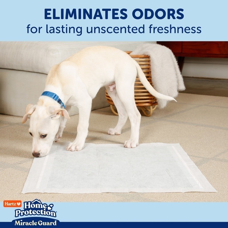 XXL Dog Pads 20 Pack Super Absorbent Quick Dry Leak Proof Odor Control New