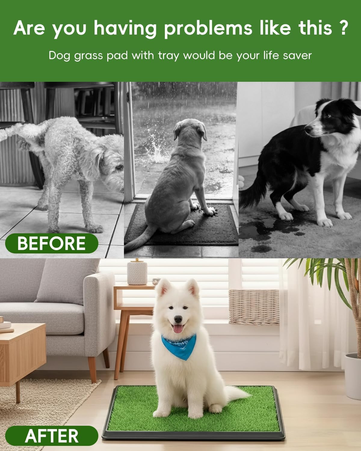 Indoor Dog Grass Pad with Tray – Reusable Potty Solution for Small Dogs
