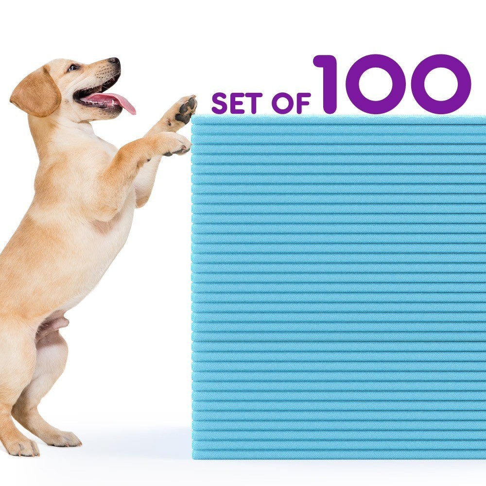 100 Count Disposable Dog Pee Pads Super Absorbent Leak-Proof Puppy Training Pads