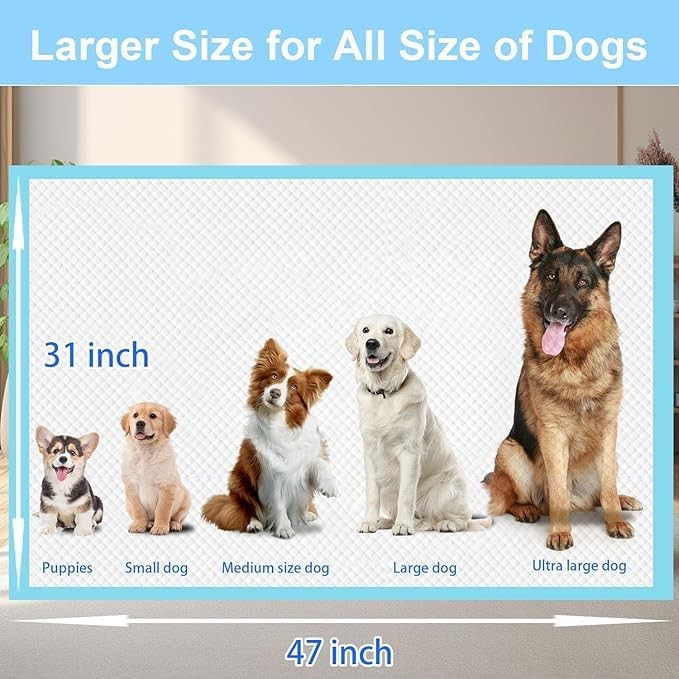 XXXXL Puppy Pee Pads for Dogs 31″x47″ 40 Count, Extra Large Dog Pee Pads, Lea…