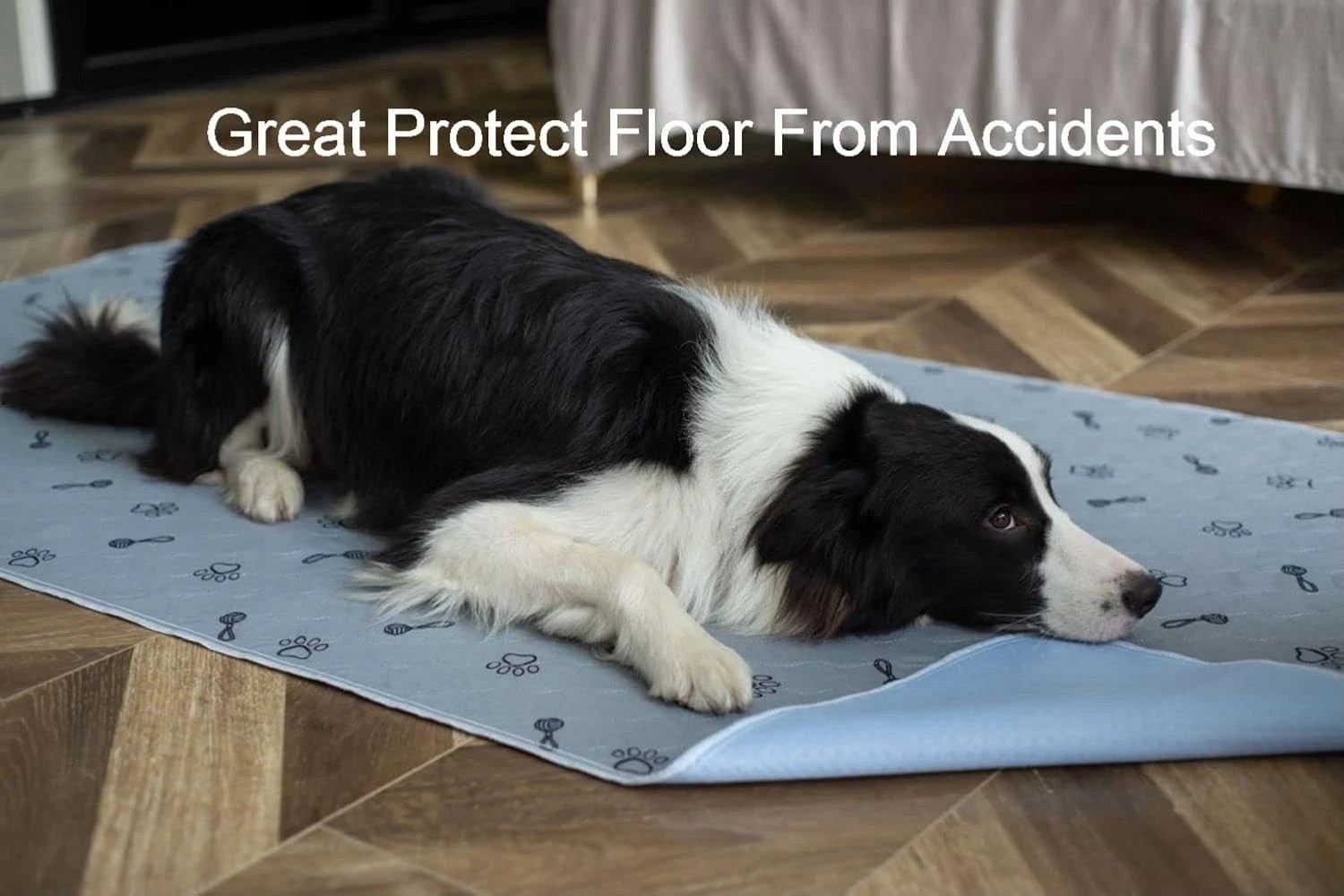 2Pack Pee Pads 36″x72″+Free Dog Comb, Waterproof Rugs Washable, Non Slip