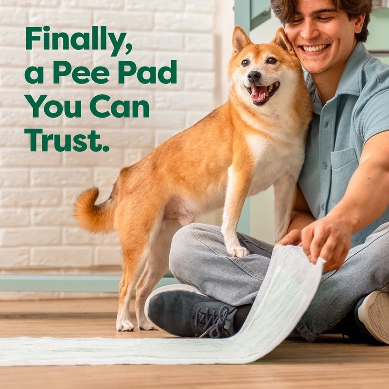 Leakproof Dog Pee Pads Heavy Absorbency Odor Control Adhesive Tabs Training Aid