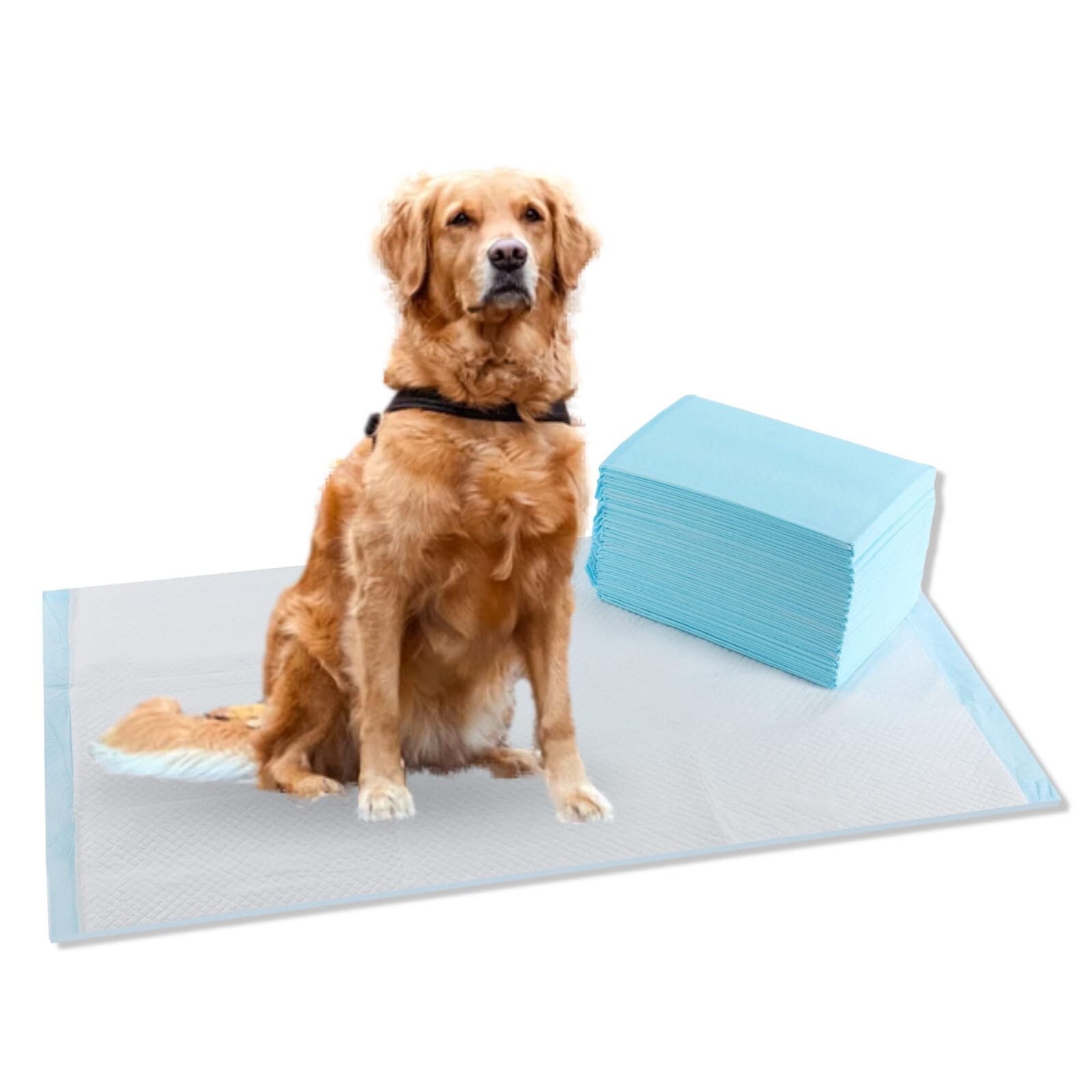 10 Dog Pee Pads. 28″x34″. Leak Proof Protection. FREE SHIPPING FROM USA