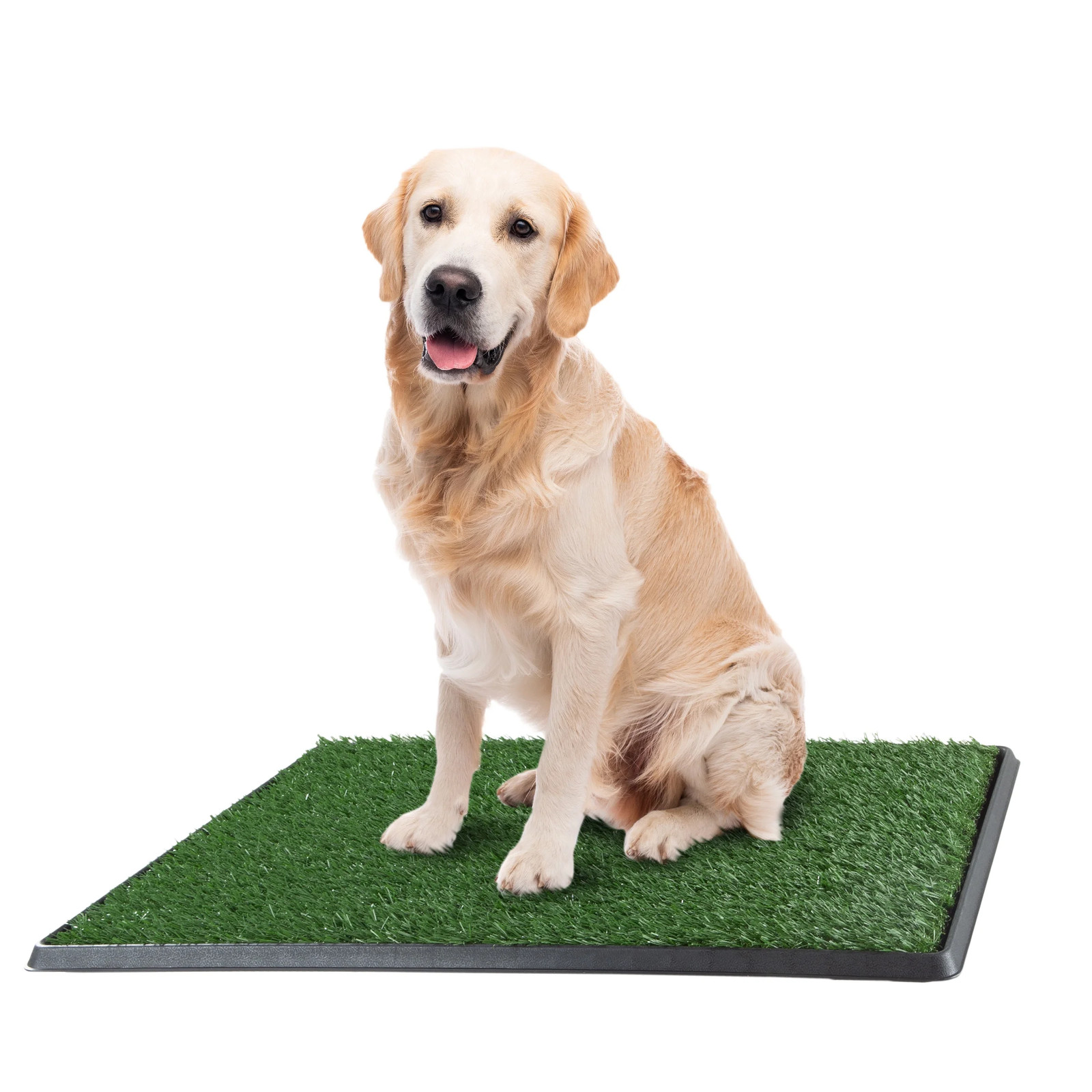 Set of 3 Replacement Turf Grass Pee Pads – Puppy Essentials