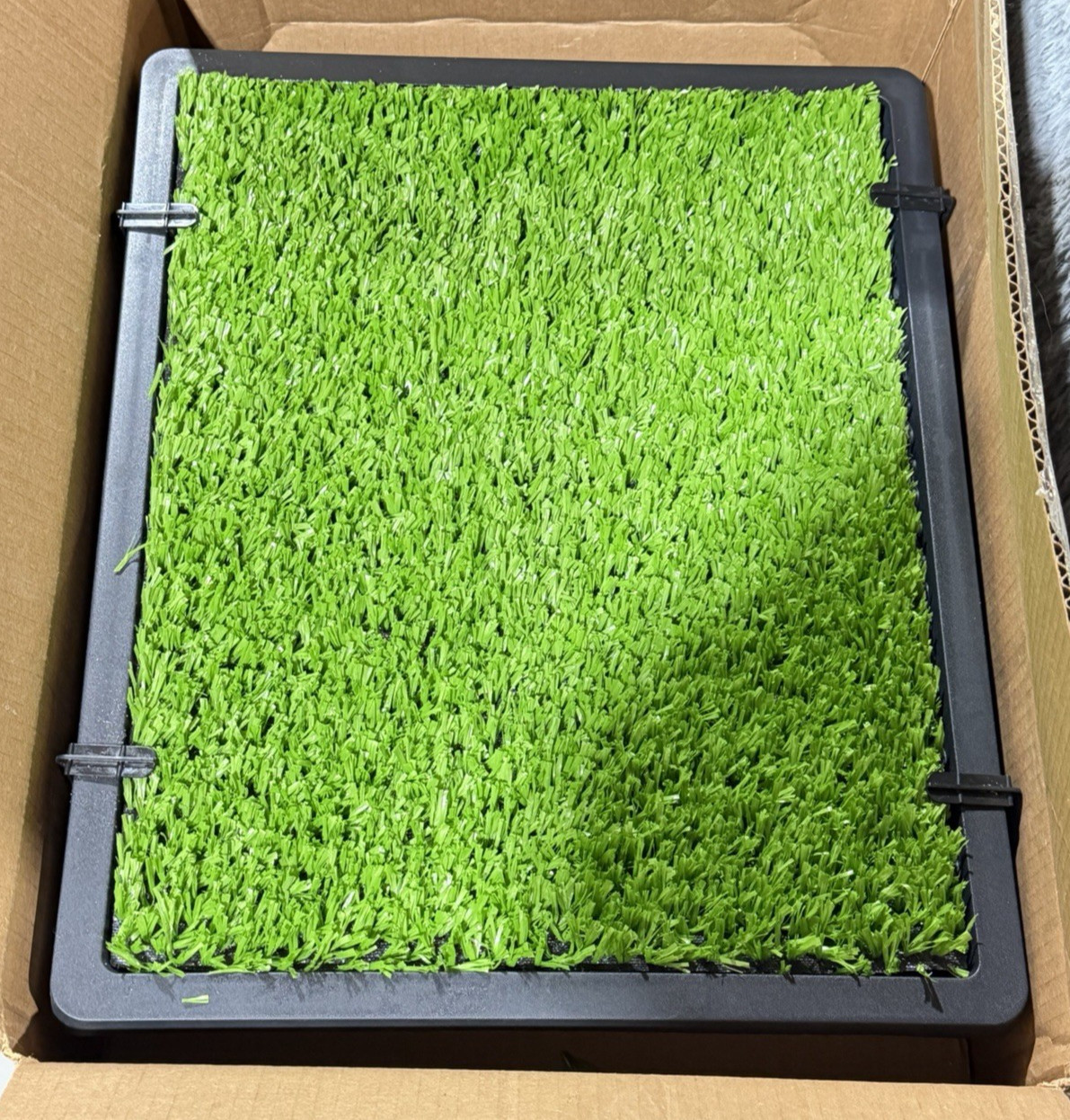PetSafe Pet Loo Portable Indoor Outdoor Dog Potty Small 20” Tray