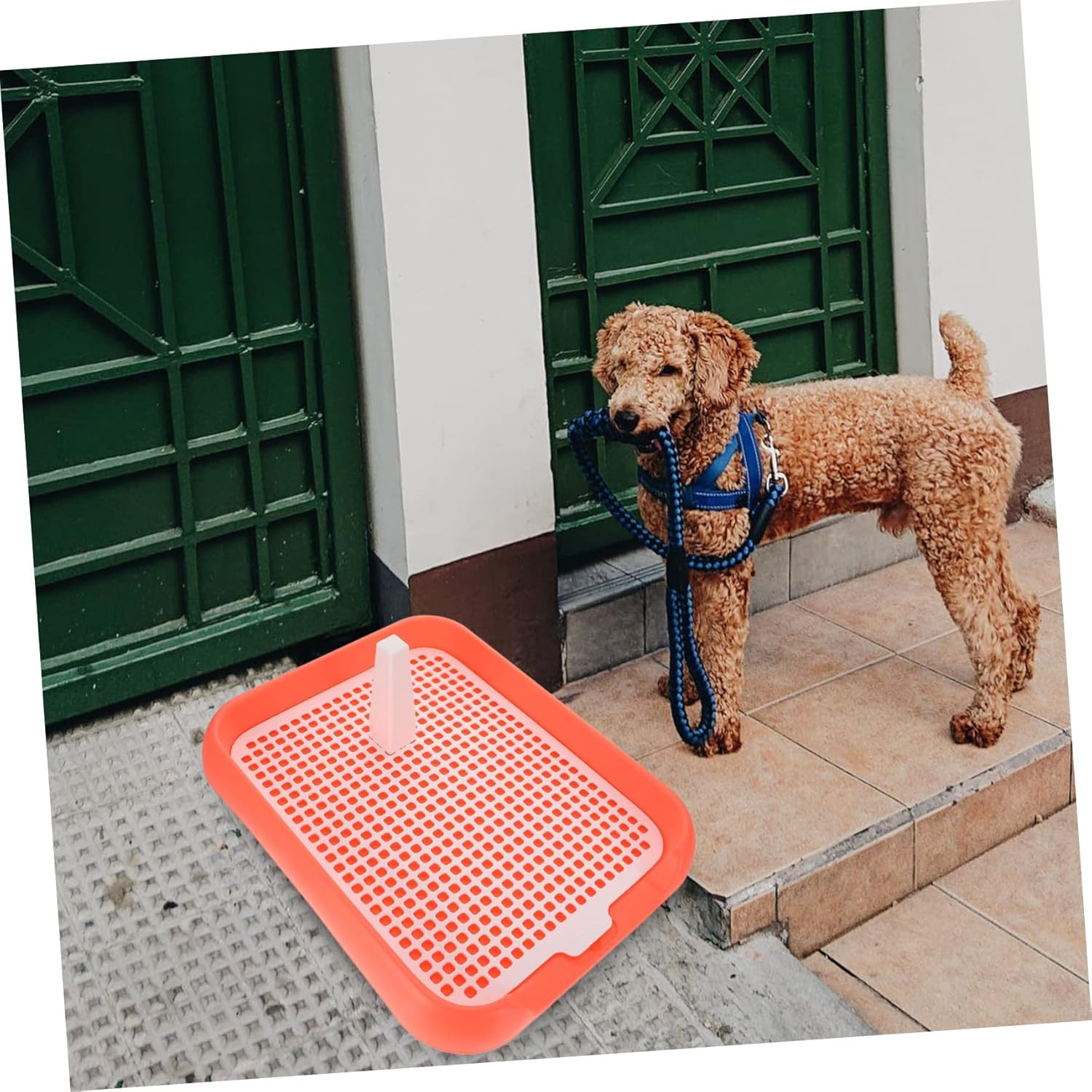 Mesh Dog Toilet Pad Indoor Pet Training Supply Slide Design for Easy Cleaning Du