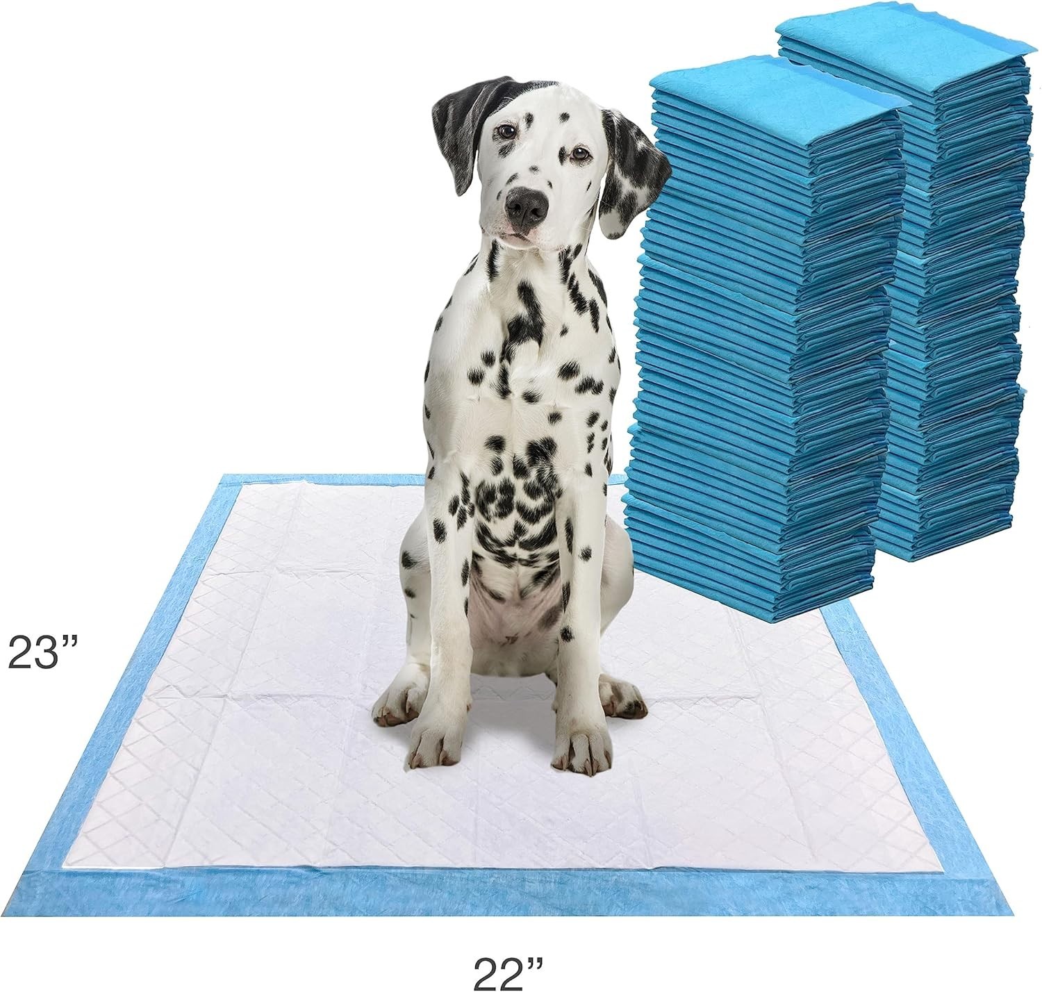 Grass Scented Indoor Dog Pee Pads 22″ x 23″ – Pack of 10 for Potty Training