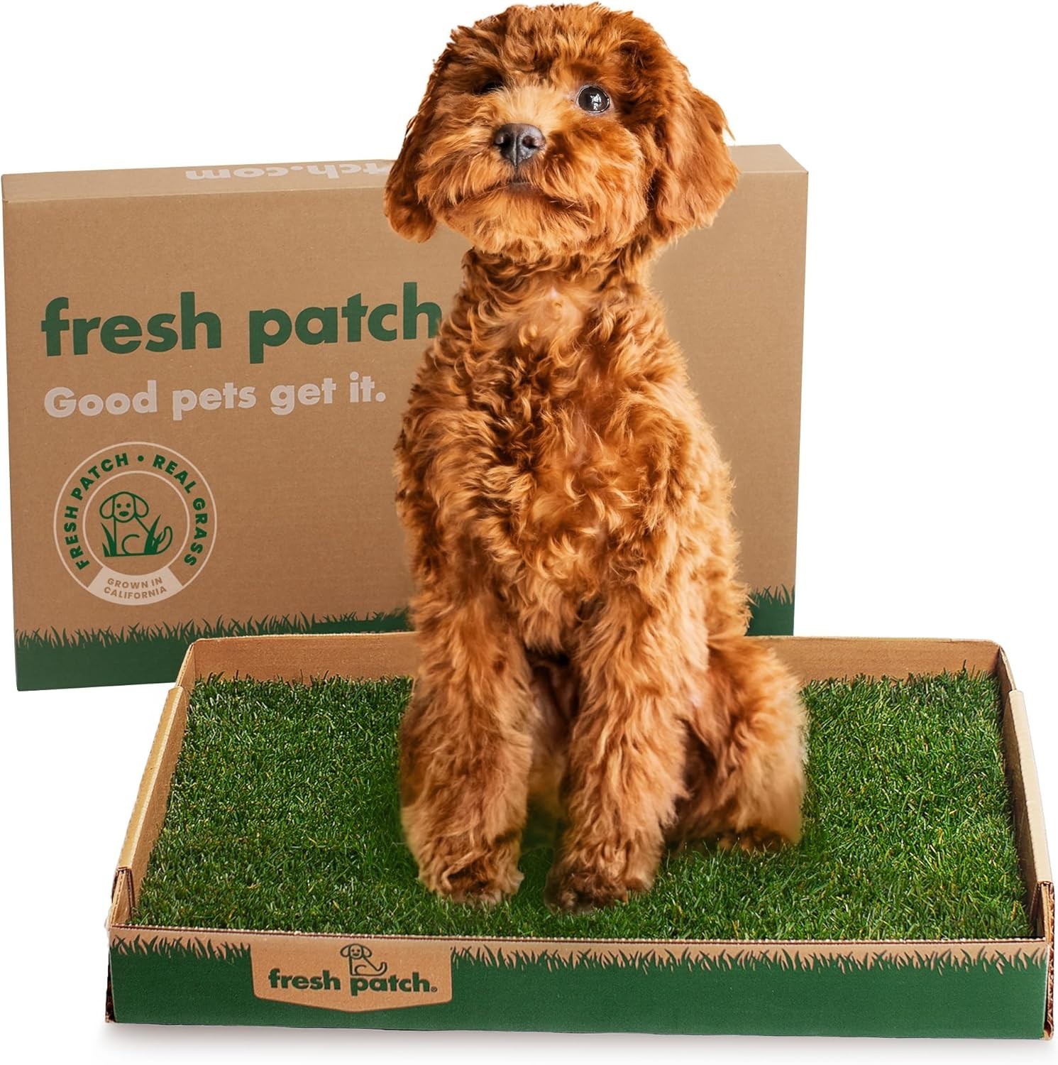 Ultimate Grass Pee Pad for Dogs & Cats – 16×24, Odor Control & Easy Clean