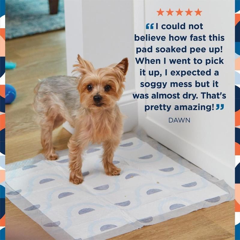 Smart Prints Dog Pads Large 75ct Odor Control Absorbent Pet Training Pads New