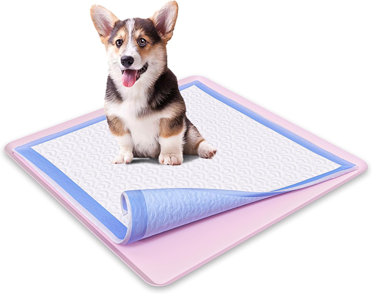 Tidyfriend Dog Pee Pad Holder Tray – Fits up to 24” X 24” Pee Pad Holder for Dog