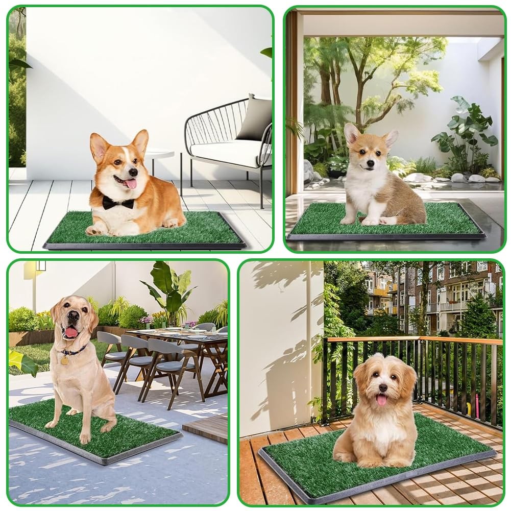 Reusable Pet Grass Potty w/ 2-Pack Replaceable Artificial Grass Quick Absorbe…