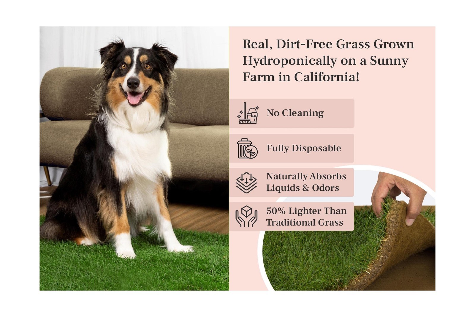 DoggieLawn Dog Potty – Real Grass – XLarge 24×48 inches XL Real Grass