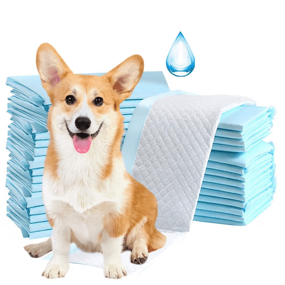60 disposable XL Dog Pee Pads, Absorbent & Leak-Proof, unscented, potty training