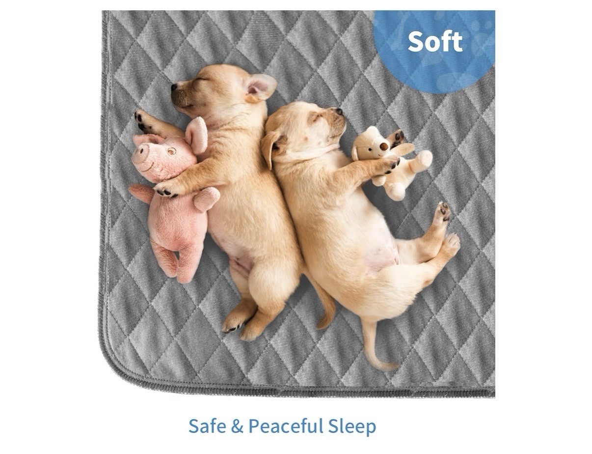 48×65 Waterproof Machine Washable Pet Pad Cool Shields Kennels Cover Couch Bed