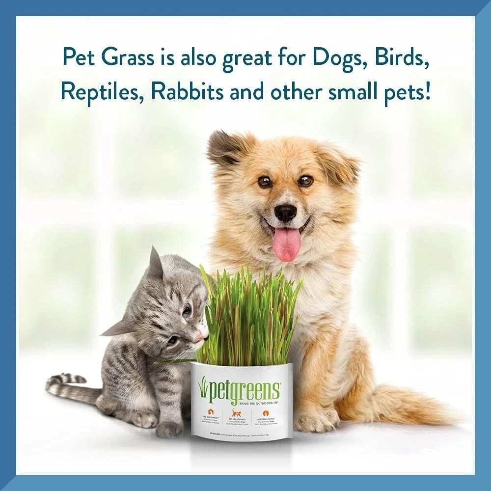 Pet Grass Kit with 100% Organic Wheatgrass – Grows in 5-7 Days for Healthy Pets