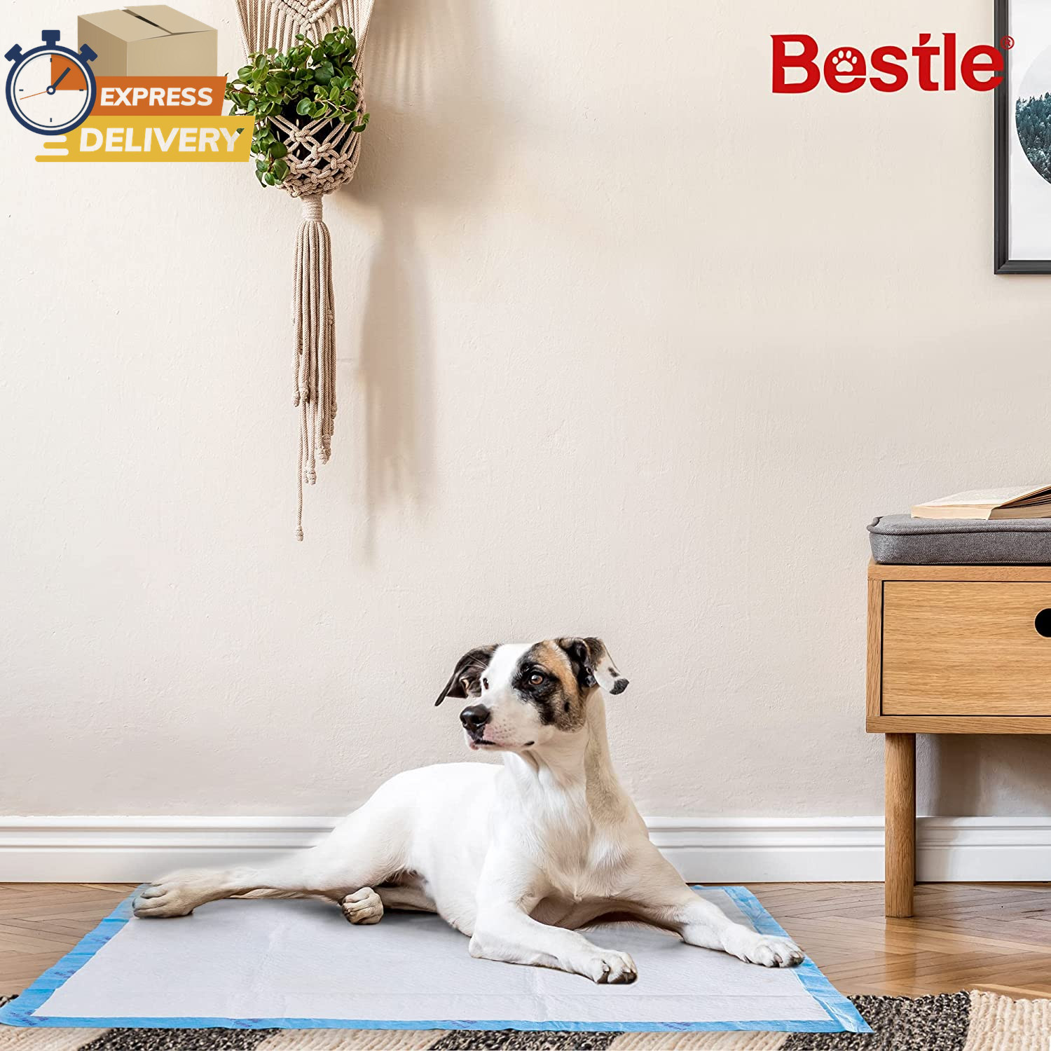 Extra Large Pet Training and Puppy Pads Pee Pads for Dogs 28″X34″, 40 Count 👌