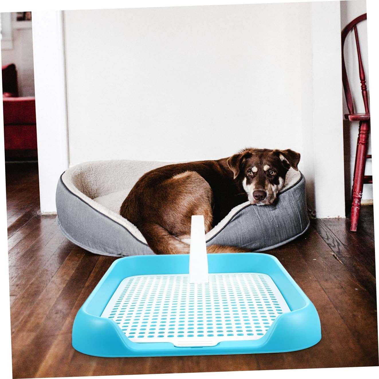Indoor Dog Potty Tray with Non Slip Design for Small and Pets Easy to Clean Mesh