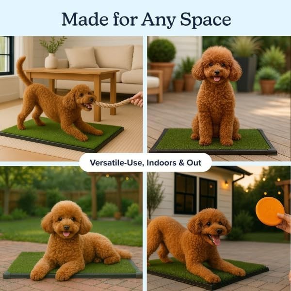 Washable Pet Housebreaking Pad with Tray – 16×20 Inch for Small and Medium Dogs