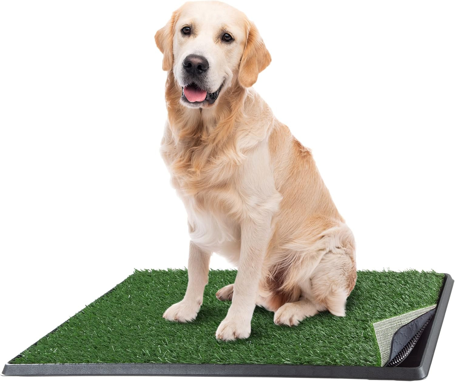 Artificial Grass Puppy Pee Pad for Dogs and Small Pets – 20×30 Reusable 4-Layer