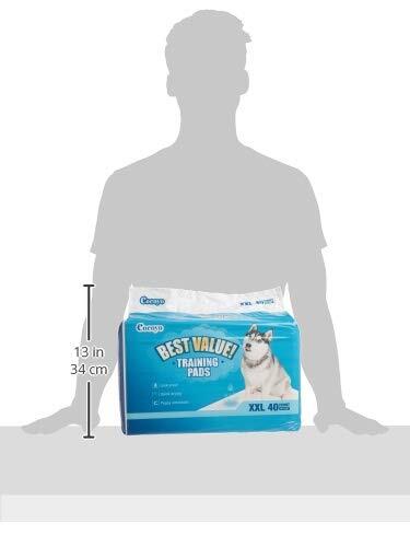 Training Pads, 30″X36″, 40 Count, XXL