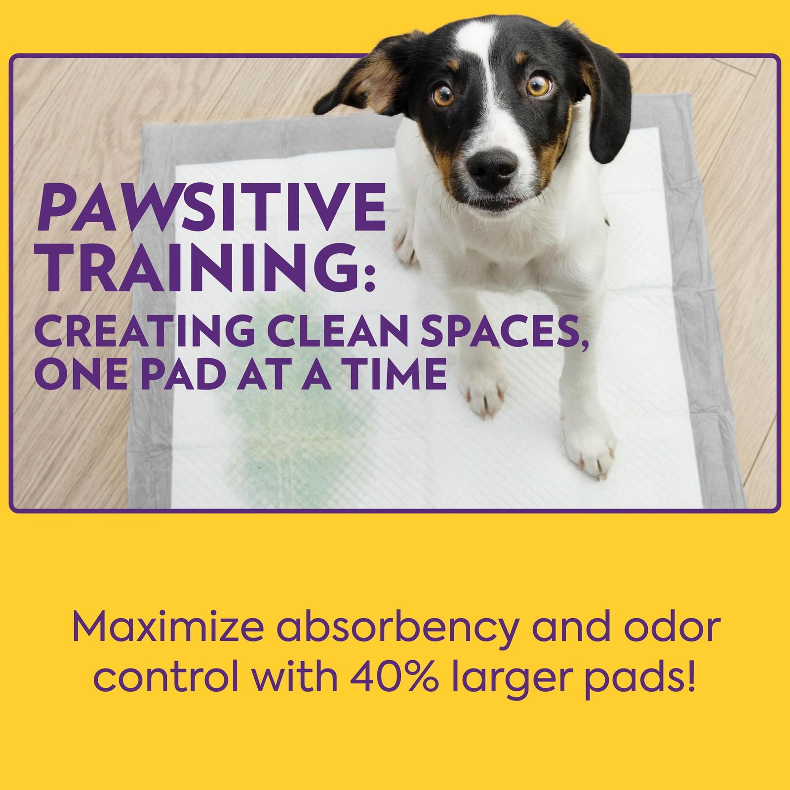 OUT! Odor Control Extra Large Dog Pads | Absorbent Pet Training and Puppy Pads |