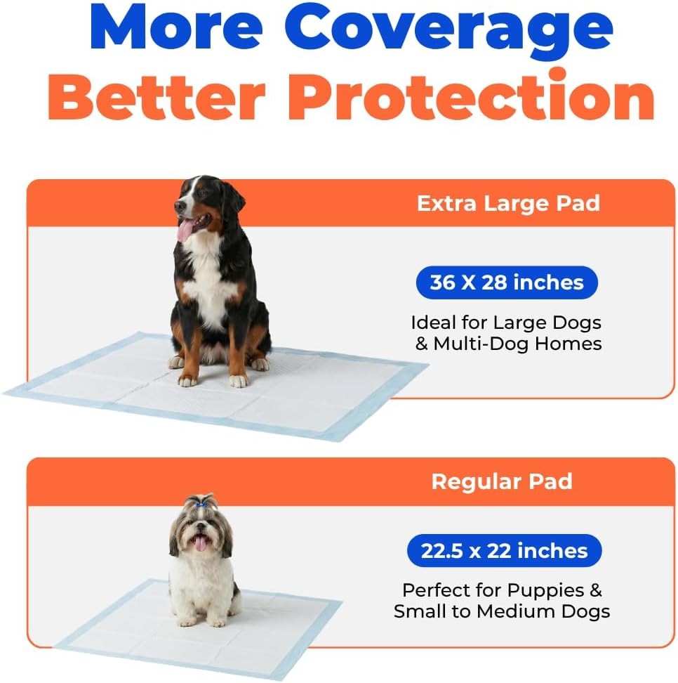 Best Pet Supplies XL Puppy Pads 100 Count 36×28 Absorbent Quick-Dry Baby Blue