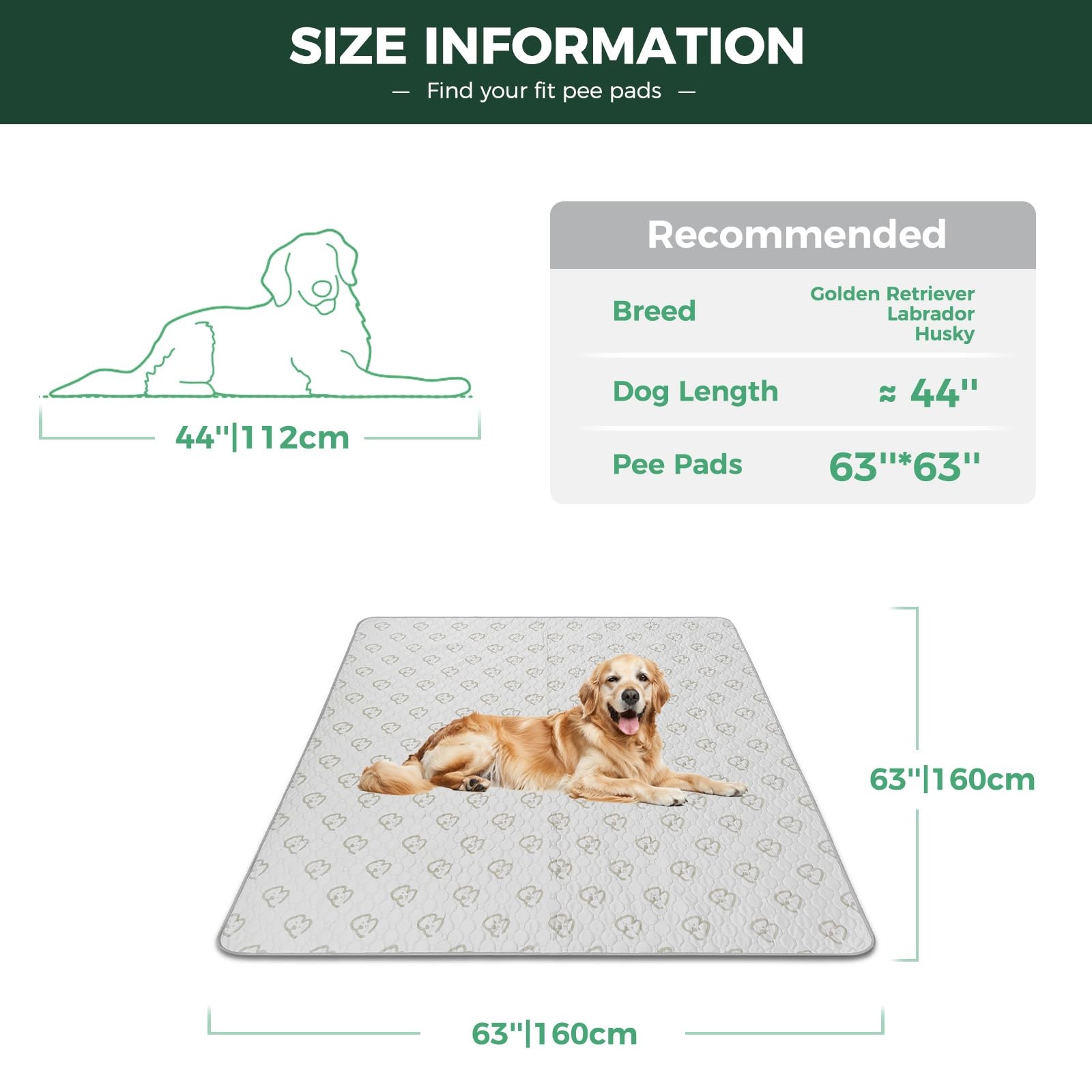 Washable Pee Pads for Dogs, Super Absorbent, 63″ Square, 1 Pack