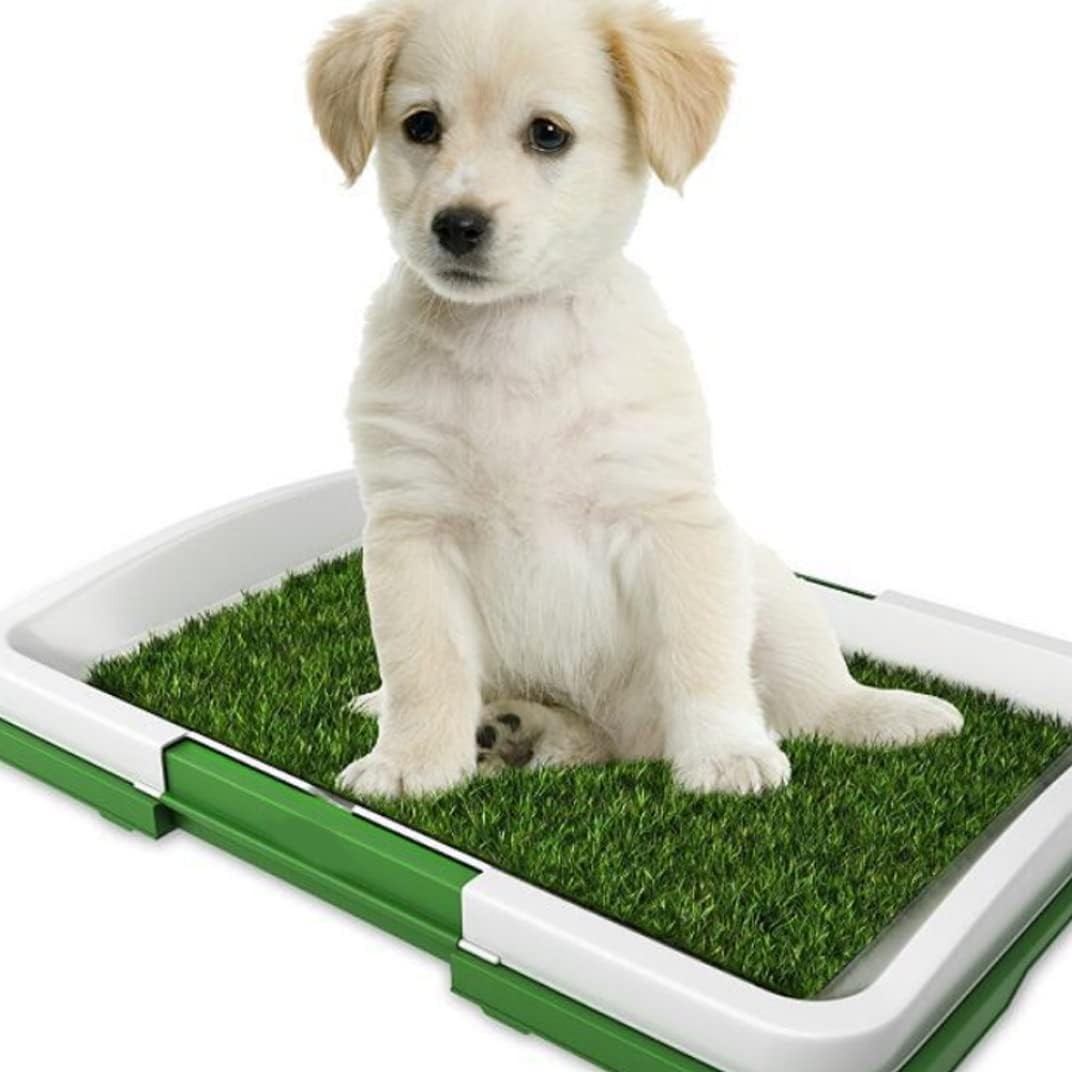 Dog Training Toilet Puppy Pee Potty Pad Splash Proof Artificial Grass Pad Tray
