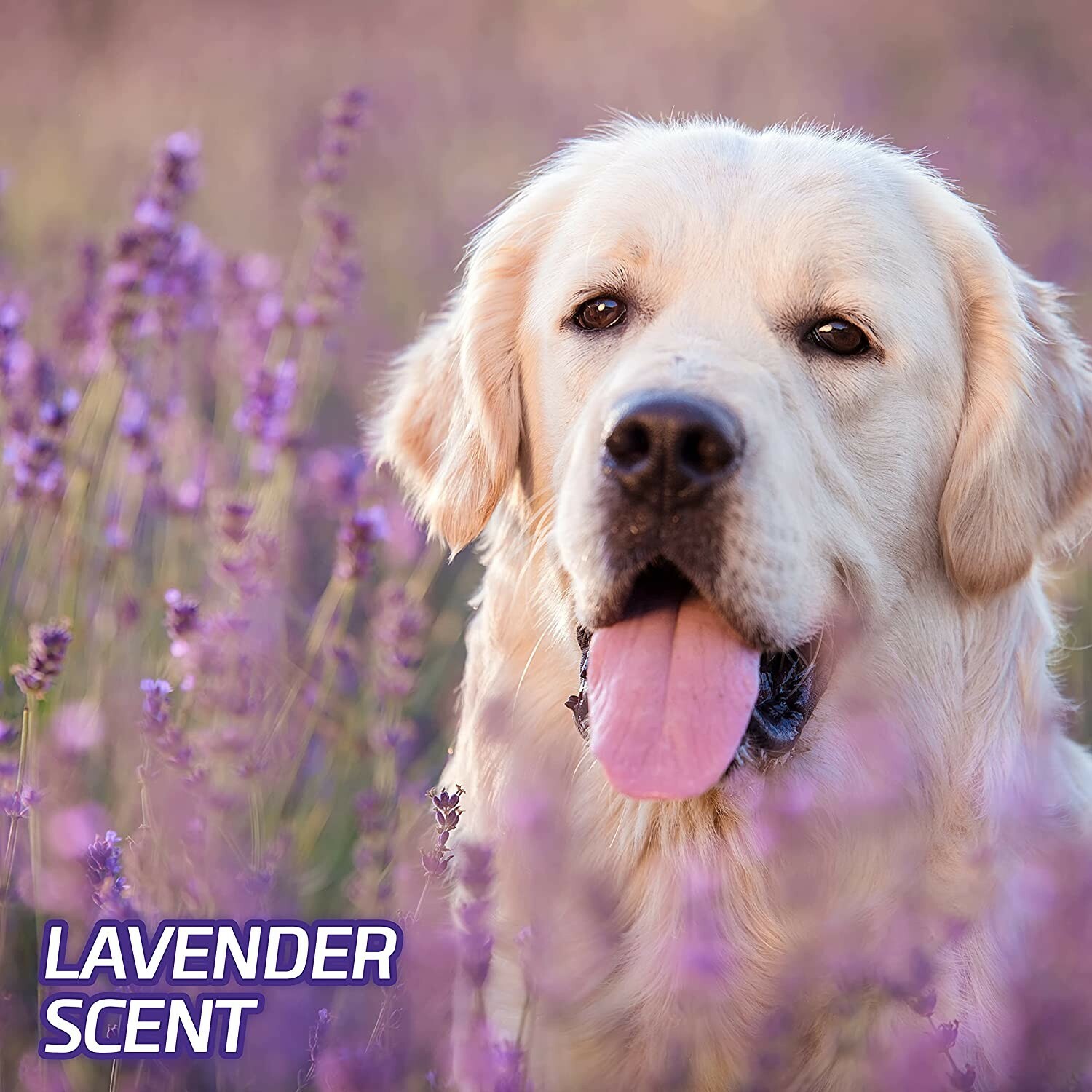 Hartz Home Protection Odor Eliminating Lavender Scented Dog Pads, 21″x 21″, 70ct