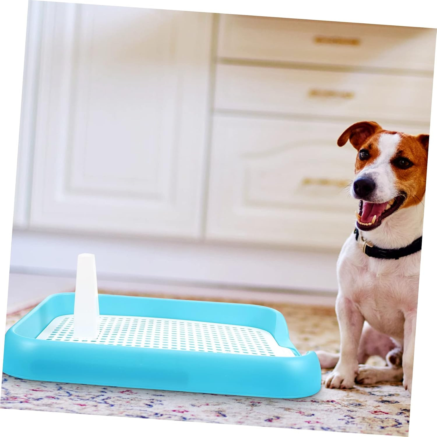 Indoor Dog Potty Tray with Non Slip Design for Small and Pets Easy to Clean Mesh
