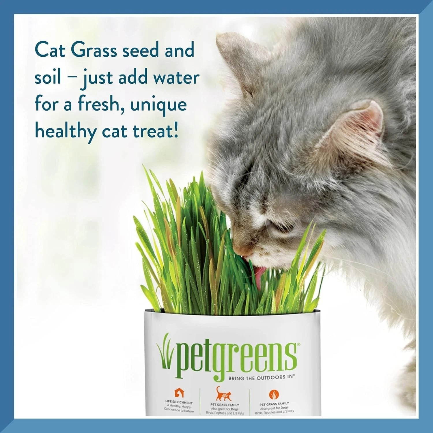 Pet Grass Kit with 100% Organic Wheatgrass – Grows in 5-7 Days for Healthy Pets