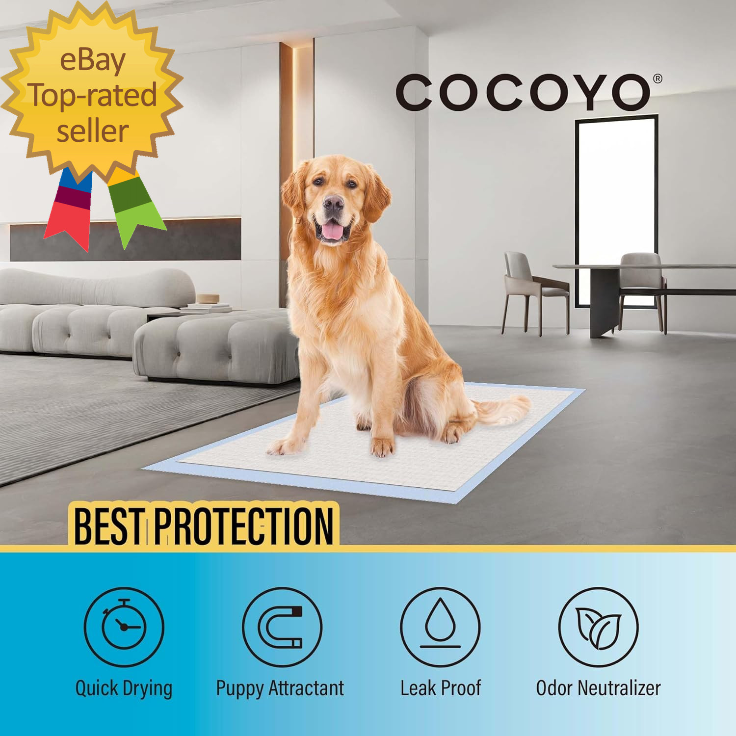 Best Value Training Pads 30 Count | Dog Pee Pads | Super Absorbent Puppy Pads