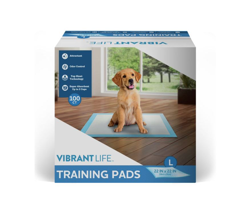 Vibrant Life Training Pads, Large, 22 in X 22 In, 100 Count