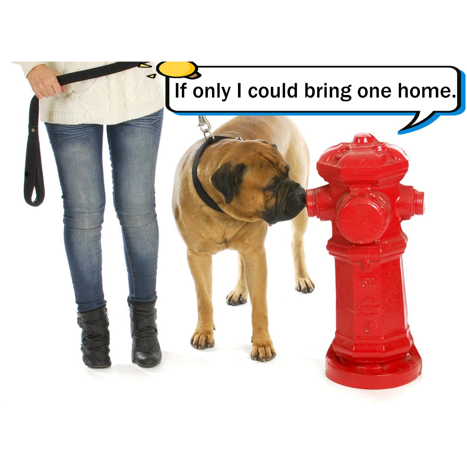 ANKROYU Dog Pee Pad Trainer, 10 Pcs Fire Hydrant Potty Training Aid for Red