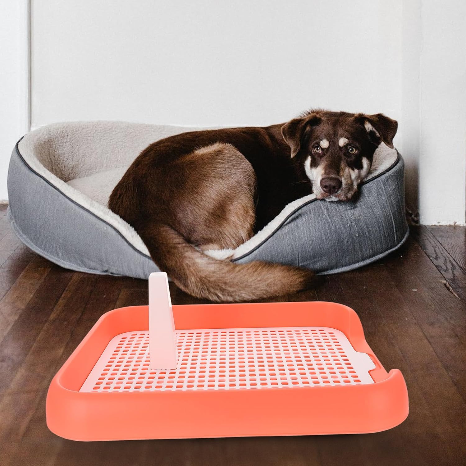 Mesh Dog Toilet Puppy Potty Training Tray Indoor Dog Pee Pad Holder Anti-Slip Li