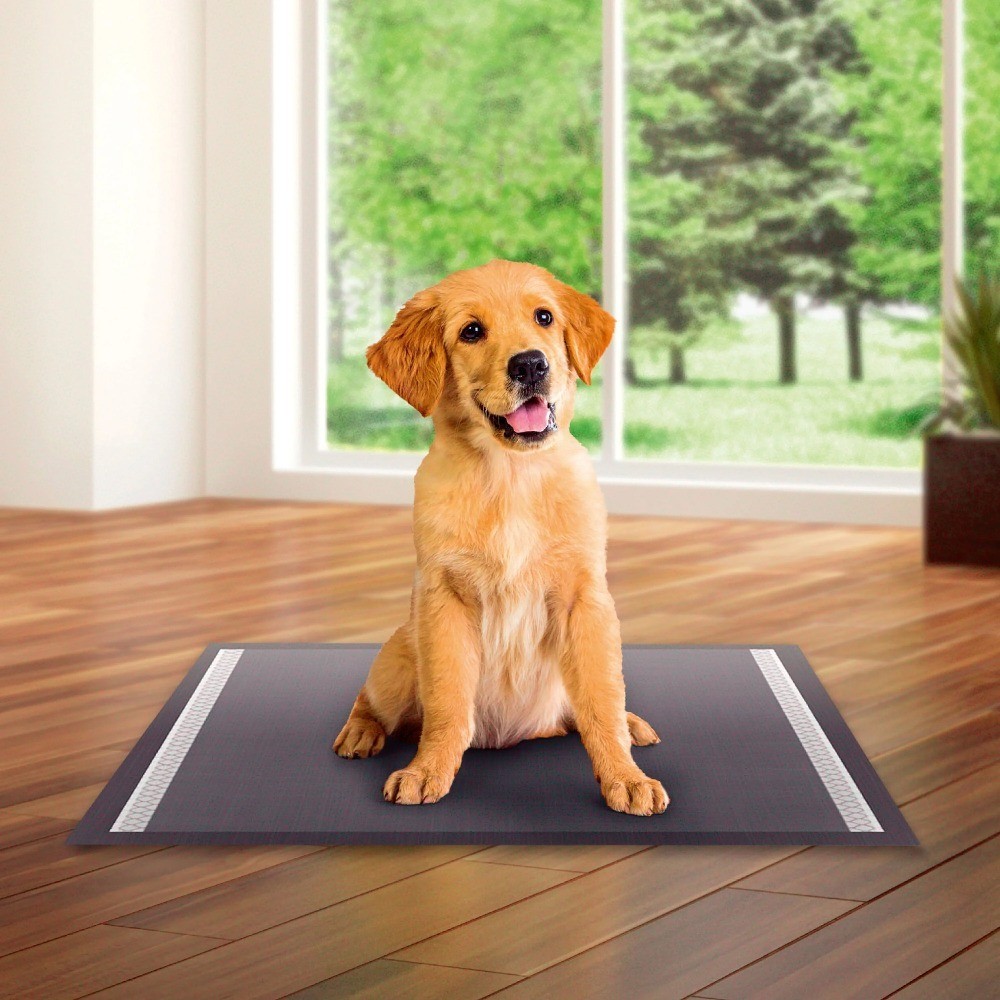 Training Pads for Dogs and Puppies Super Absorbent Leak Proof Odor Control Fast