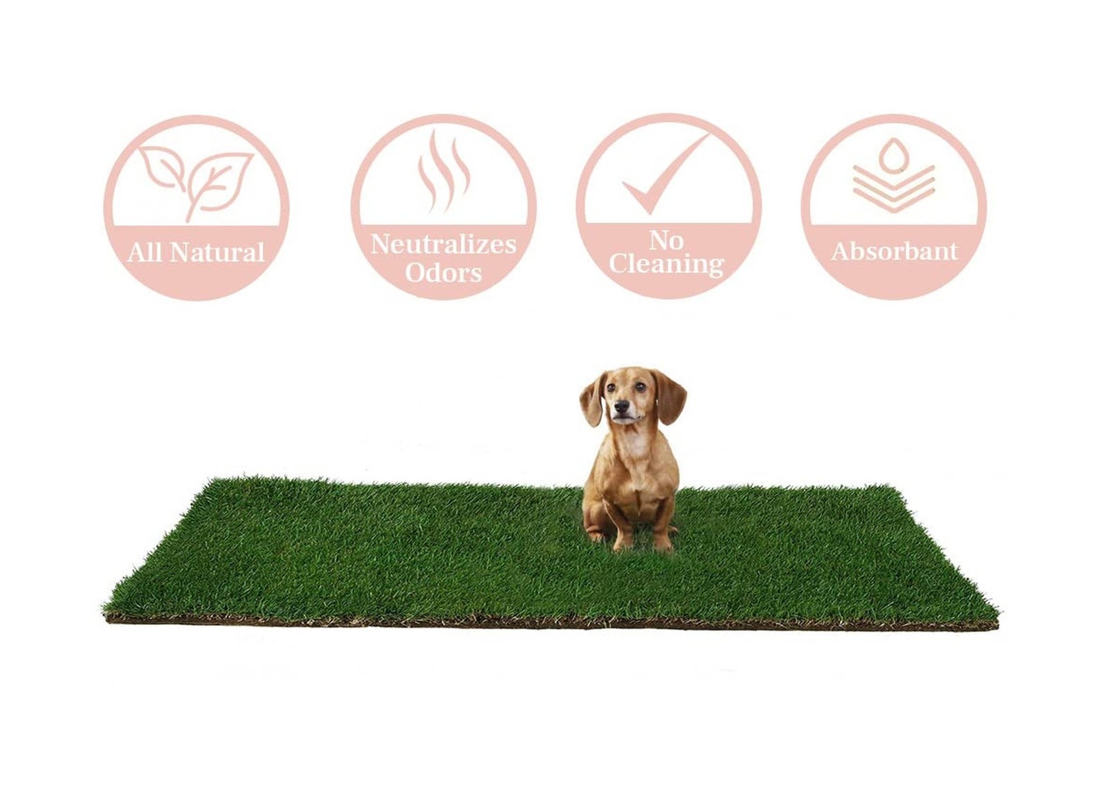 DoggieLawn Dog Potty – Real Grass – XLarge 24×48 inches XL Real Grass