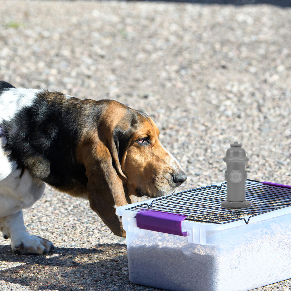 1PC Dog Potty Tray Column Pet Training Toilet