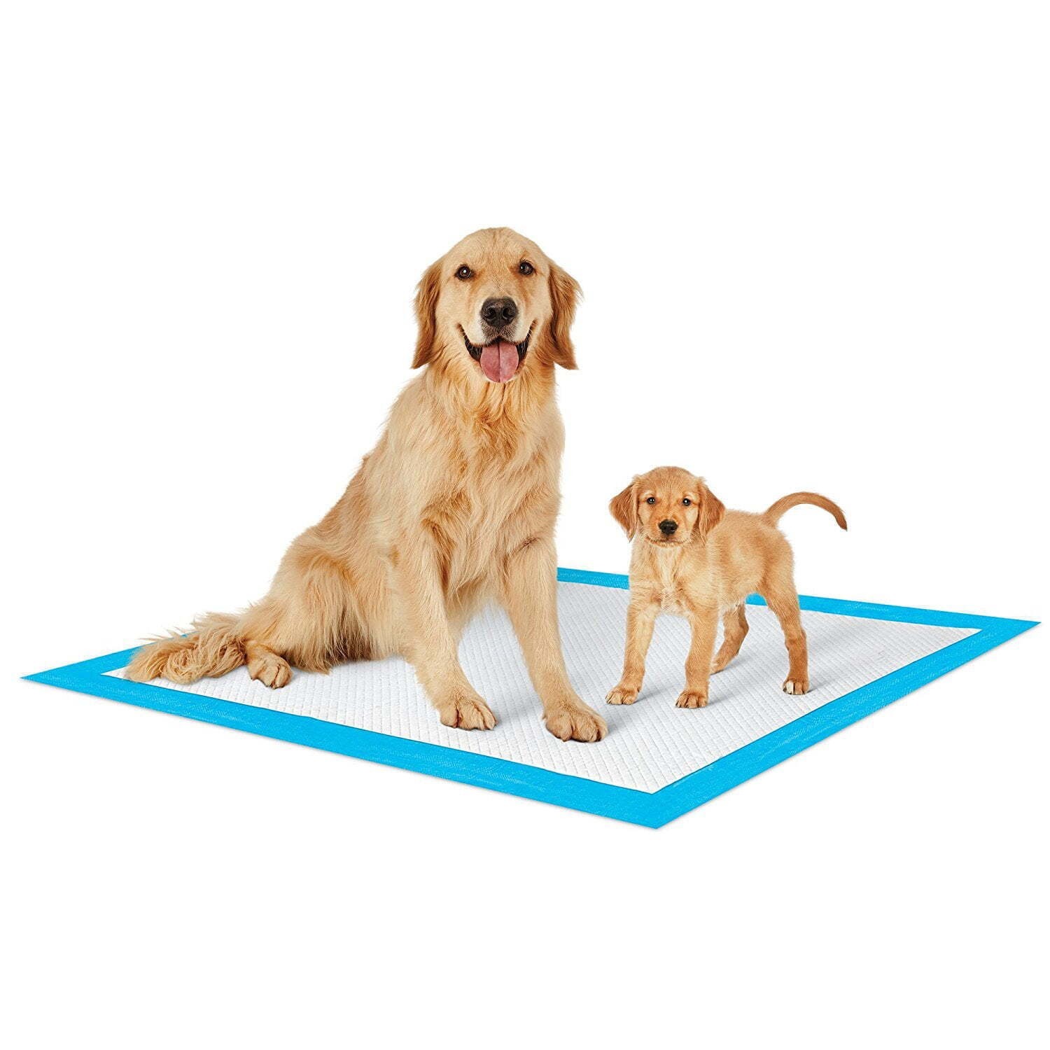 Puppy Training Potty Pads Cat Odor Elimination 300 Count Apartments Home Economy