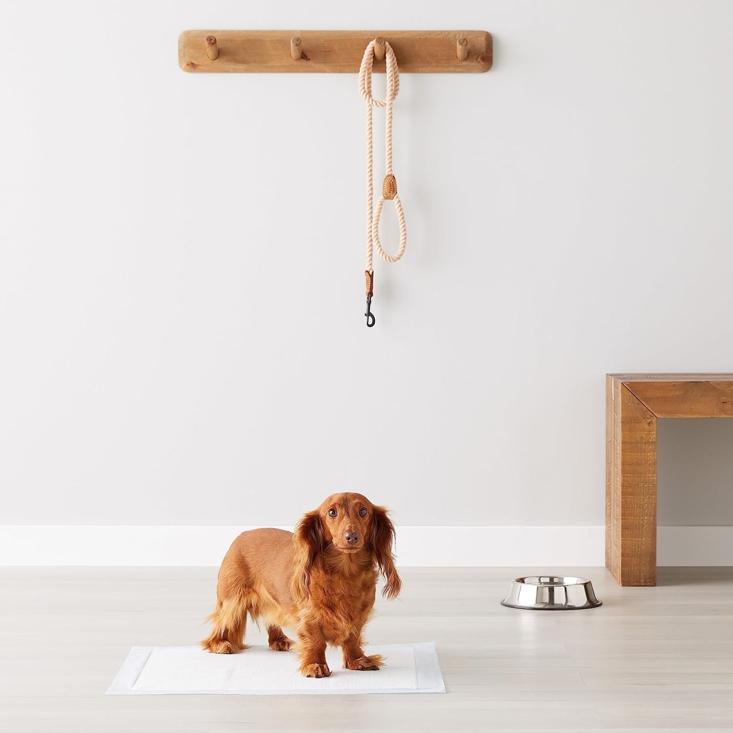 Amazon Basics Dog Puppy Pee Pads 50 Count Leak Proof 22×22 Quick Dry