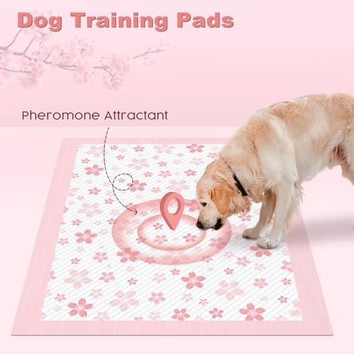Extra Large Dog Pee Pads 28″x34″ – 100 Count, Super Absorbent, Leak-Proof, Thick