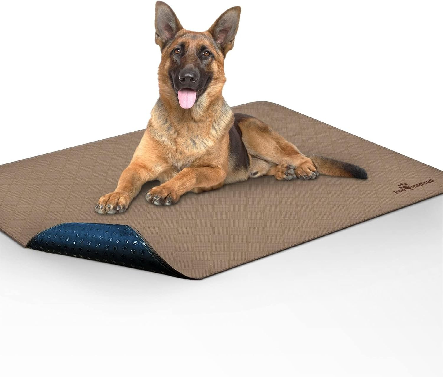 Washable Dog Pee Pads 48×60″ Leakproof Non-Slip Reusable Puppy Training Mat
