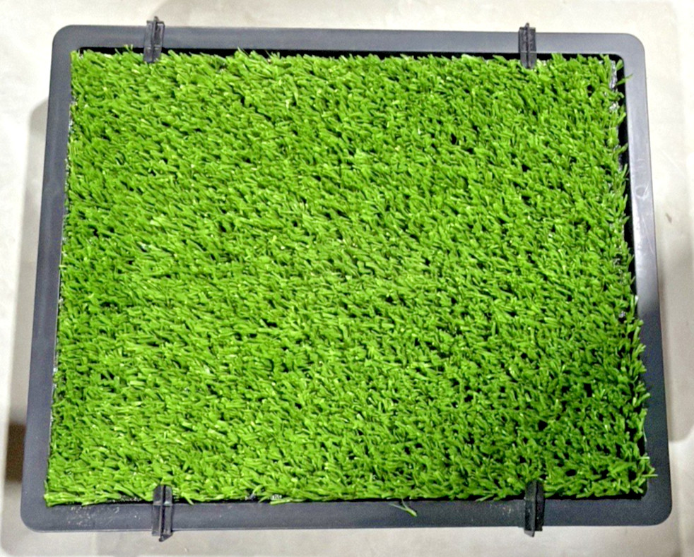 PetSafe Pet Loo Portable Indoor Outdoor Dog Potty Small 20” Tray