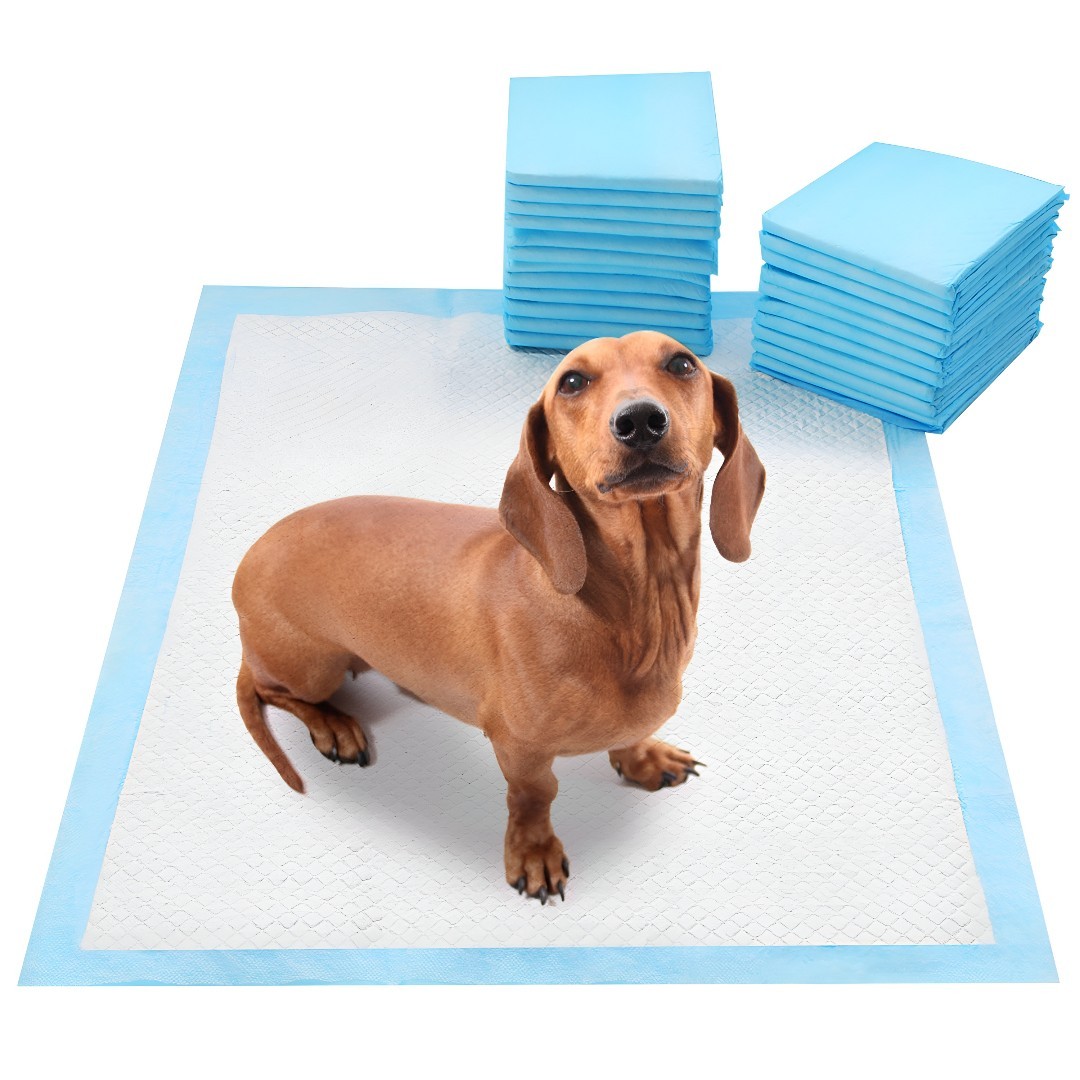 50 Pack Puppy Training Pads 24×18 Dog Pee Pads Super Absorbent Leak Proof USA